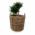 Wicker Basket
