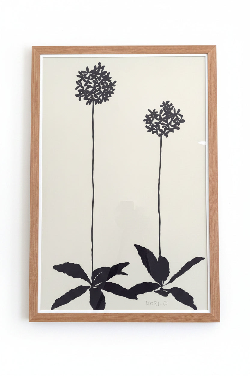 Hable "Allium" Art