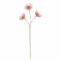 Abigail Ahern Flowers