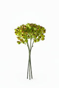 Abigail Ahern Filler Flowers