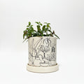 Plant with Vase