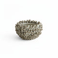 Coral Bowl