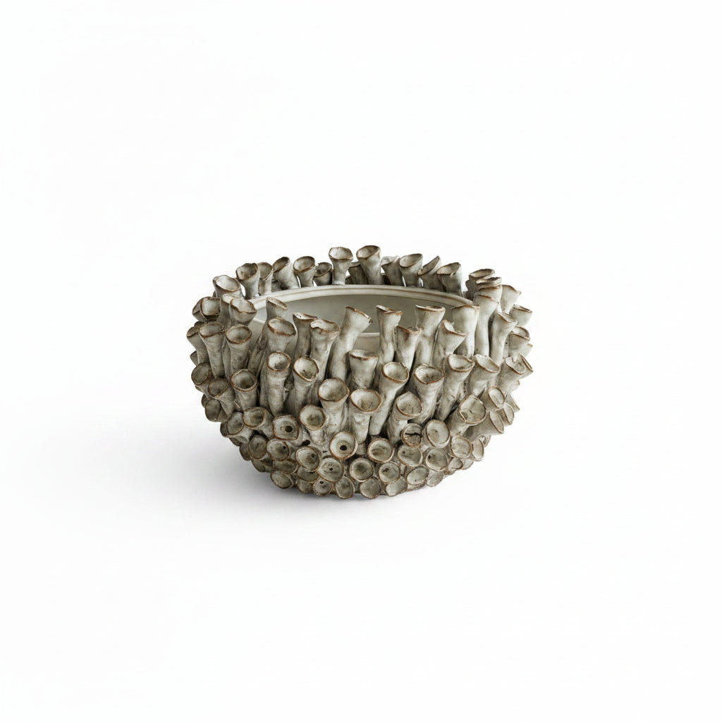Coral Bowl